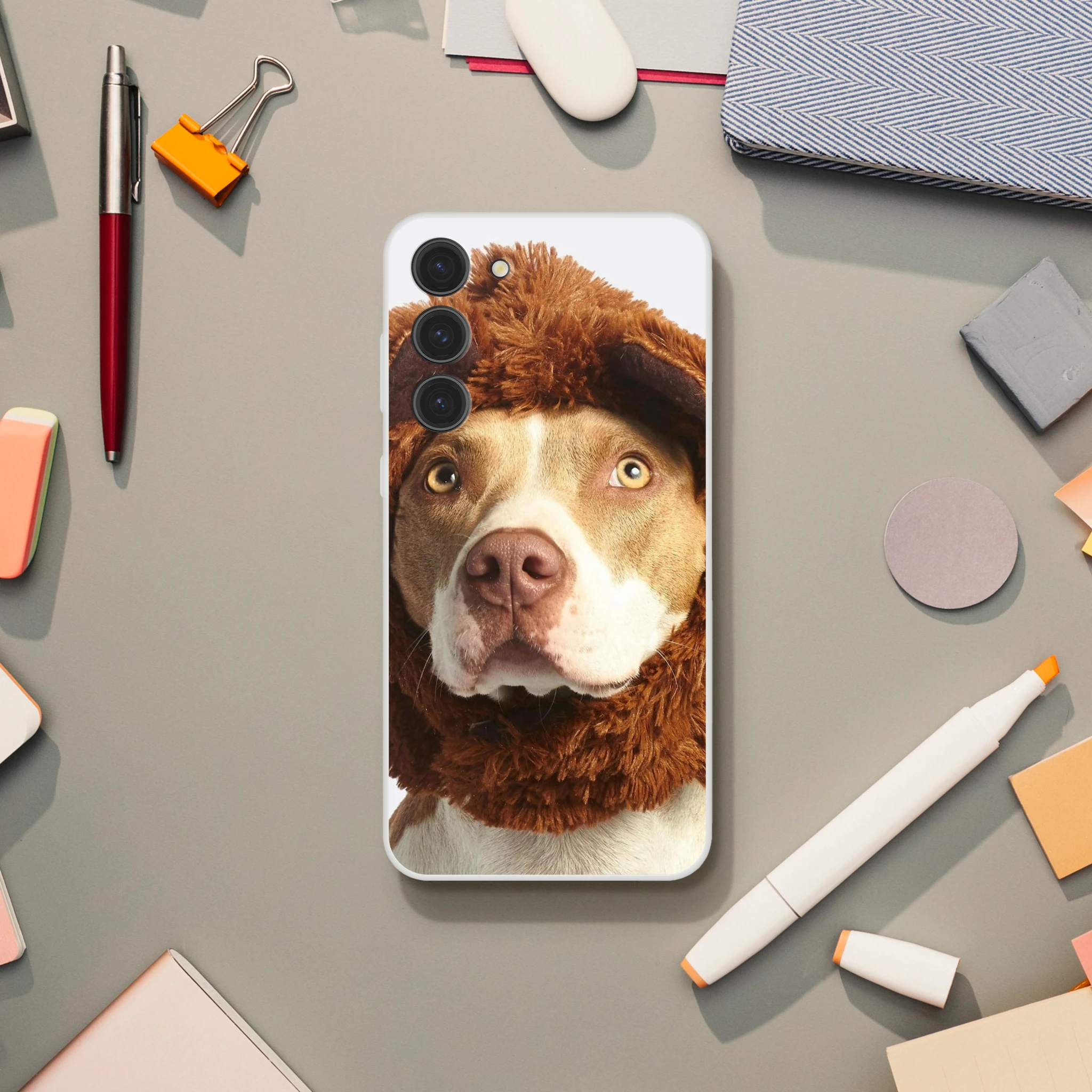 183acfcc-20ca-4d21-a58a-90534bc6396c