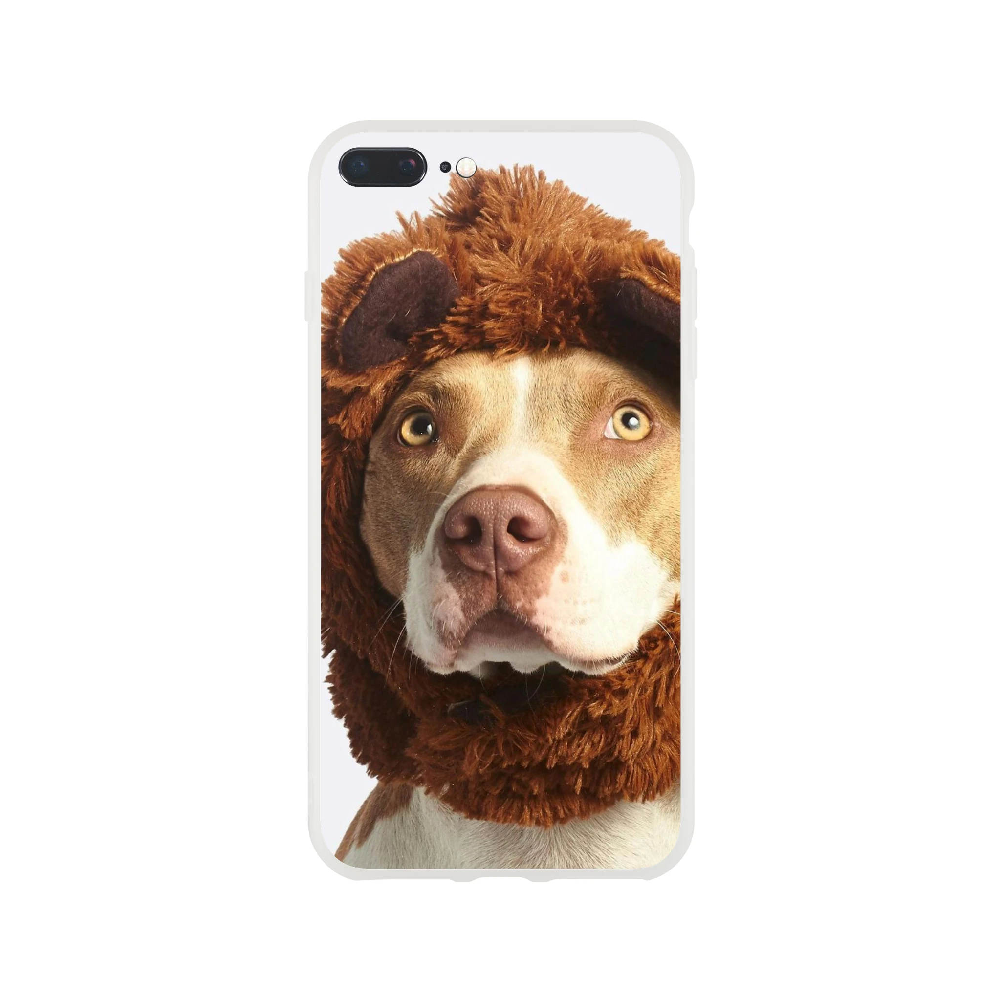 1cbf1c5d-a4a6-4d97-9744-2fa316114170