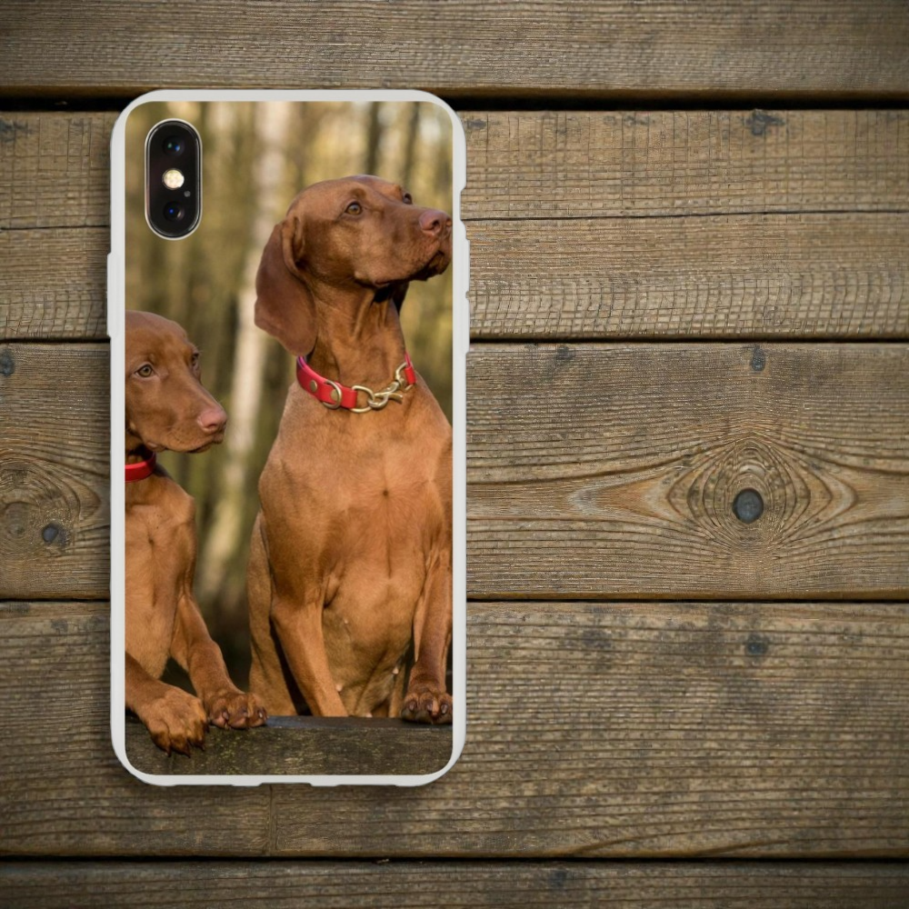 21616ae9-73d8-4d59-8055-e7aff782c519