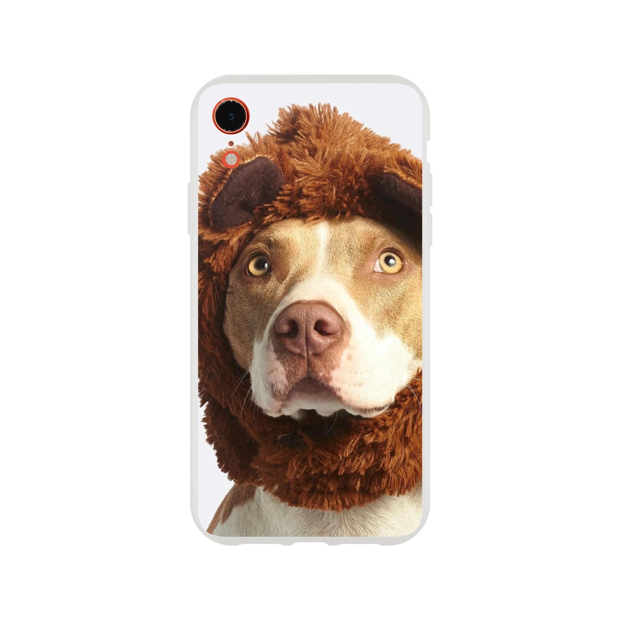 246e9fe7-9c30-434a-93ce-5827e4830eea