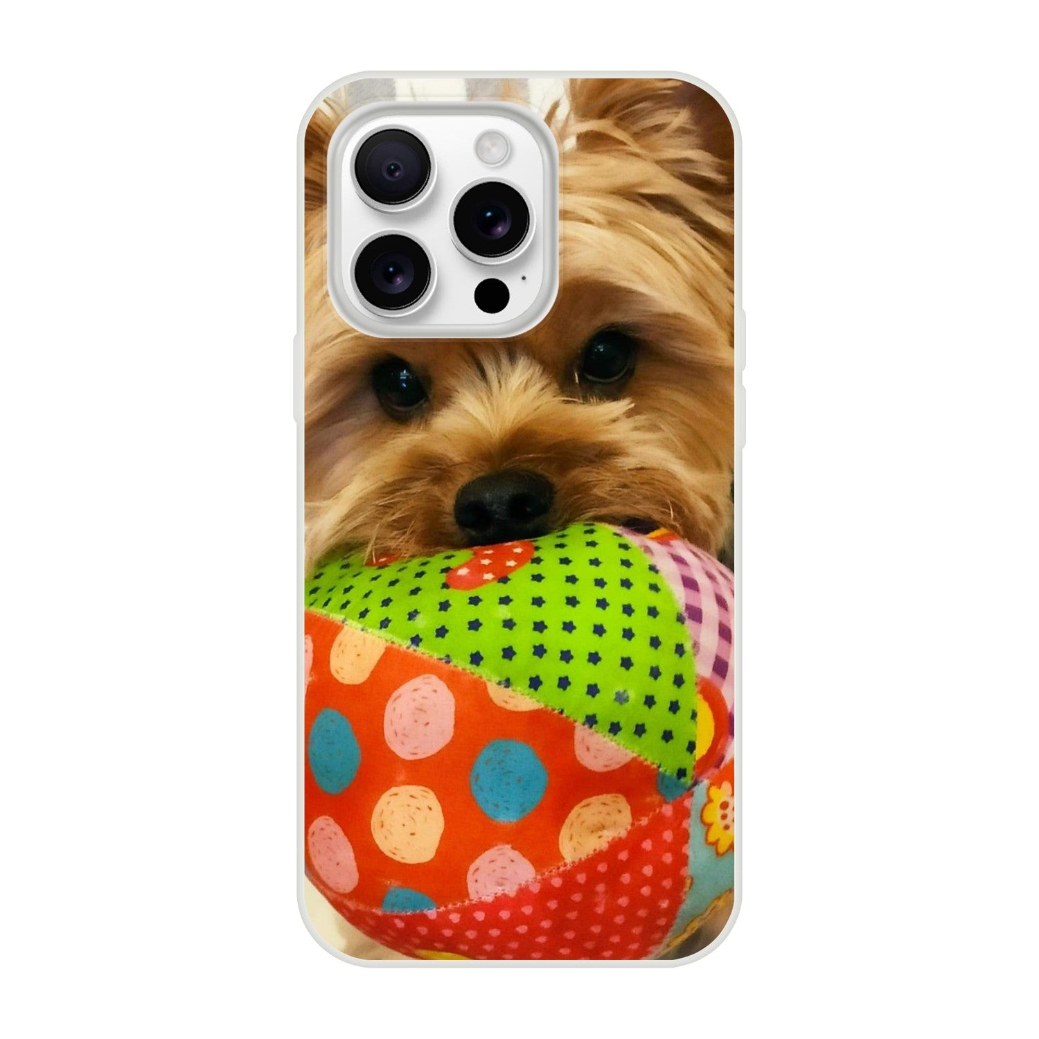 29f0ab42-a7ba-43b9-8c8d-6a23da6b6e3d