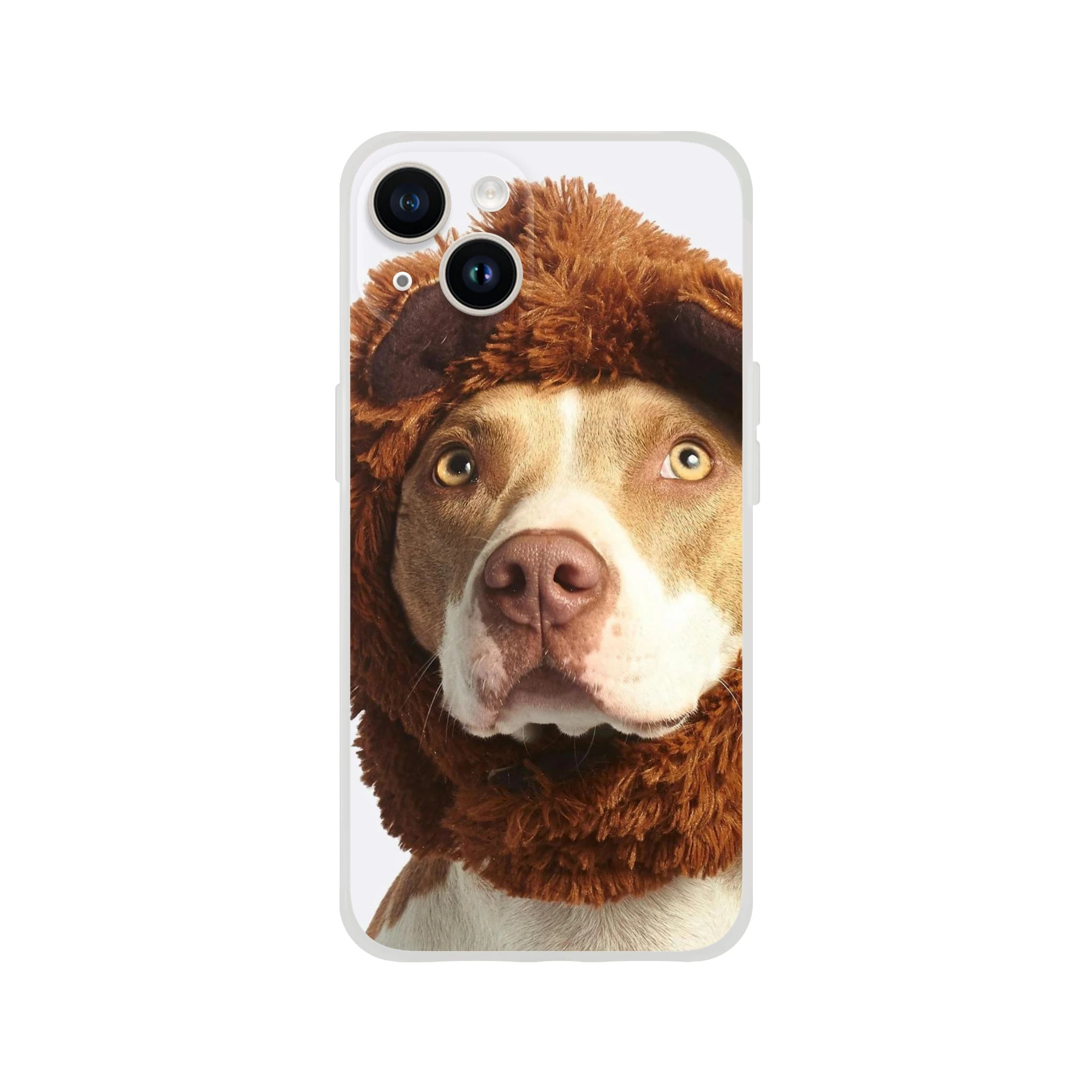 2f7b8312-8147-4eb0-8b81-e584970b0a7e