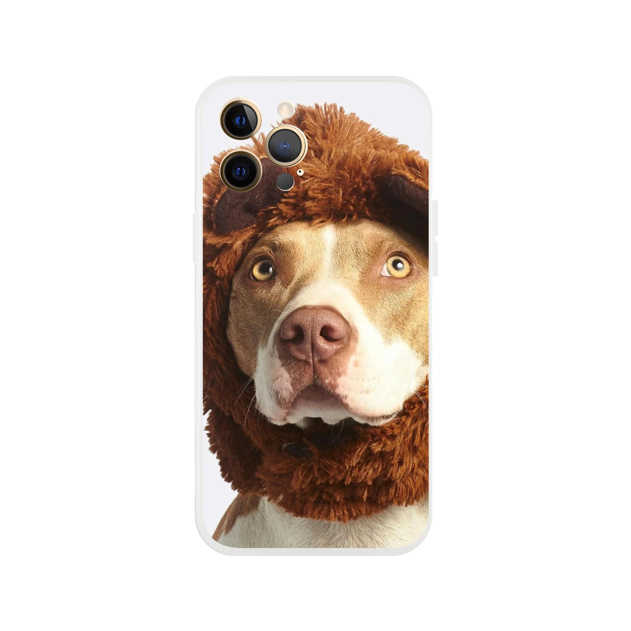 31c6cad4-b5a8-4f60-bfae-fe65b4eb331e