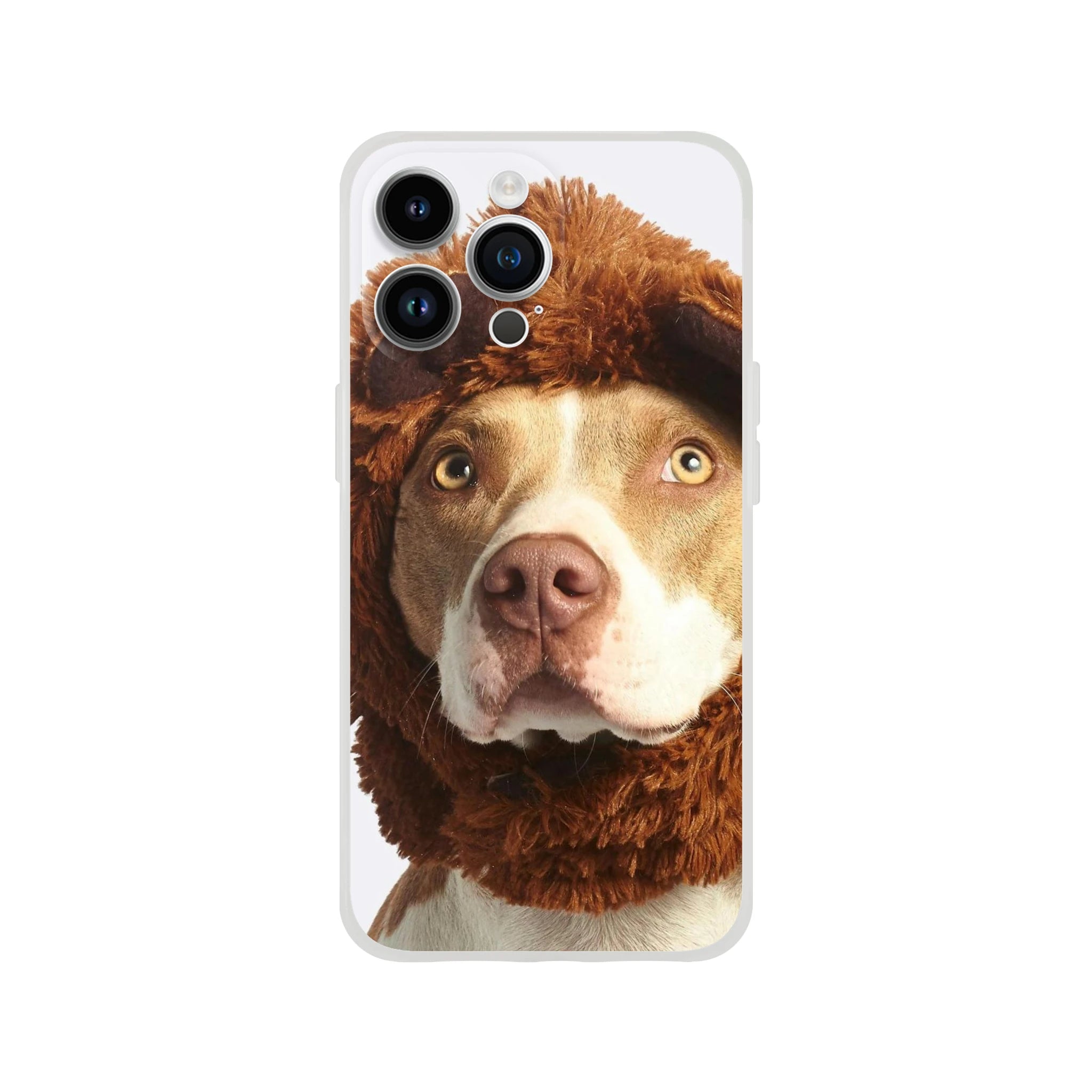 3ccb7079-7064-4a9b-80e8-3a22f9e1bf45