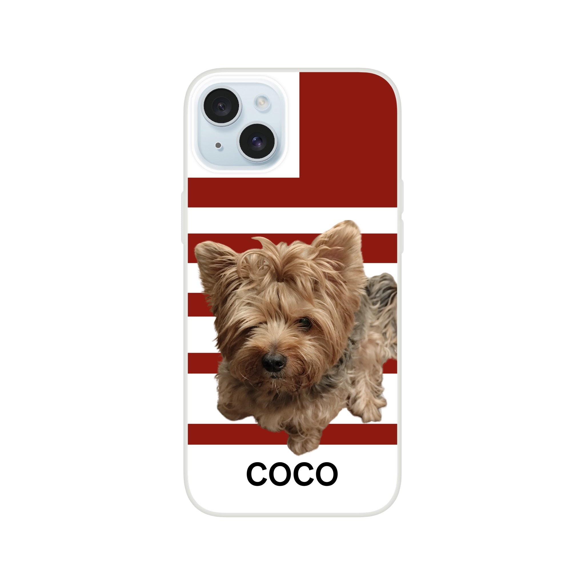 50c90260-52e9-463e-903a-32f12858f92f