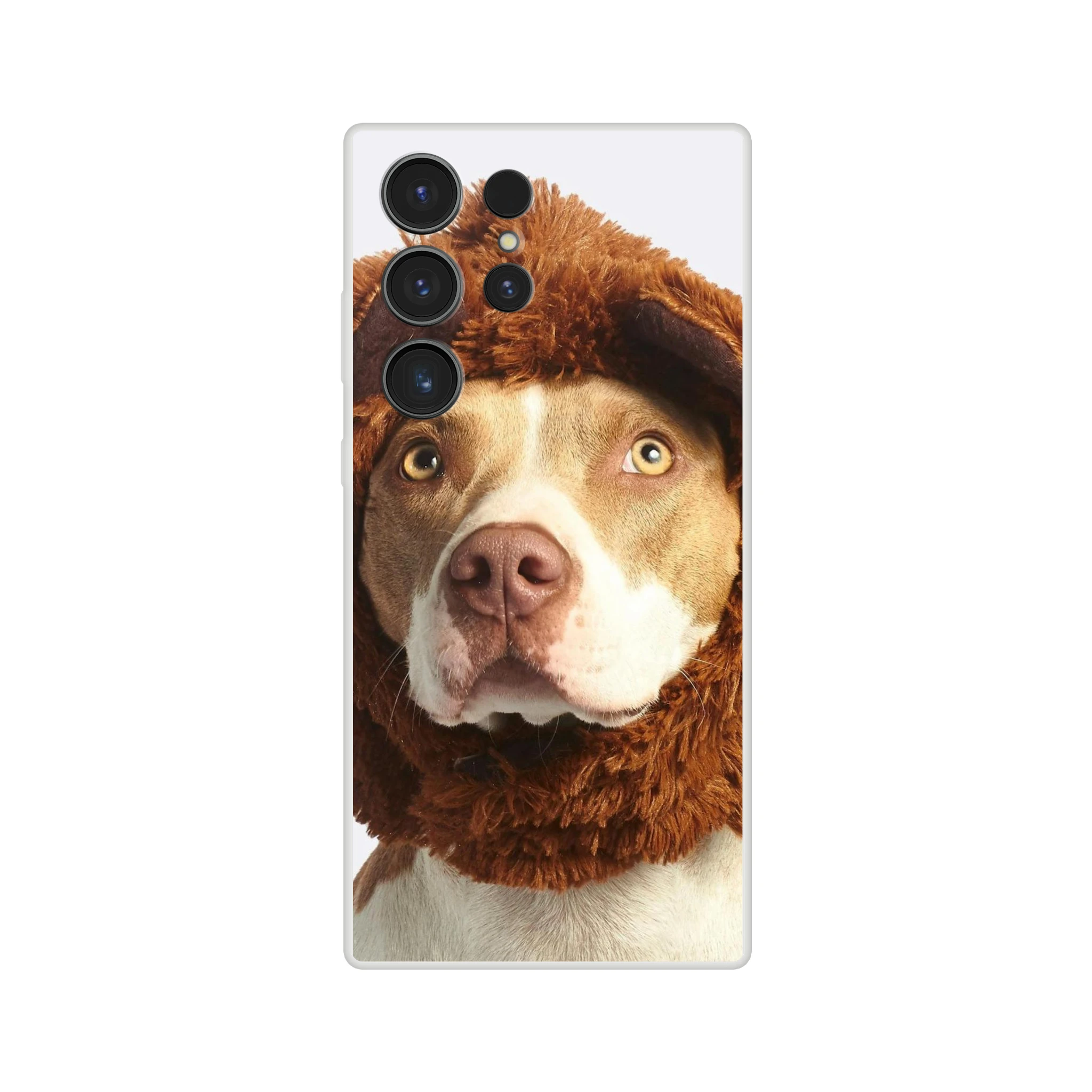 53f0ce92-0fd7-402c-b5f2-bdbe6f4e9bf4