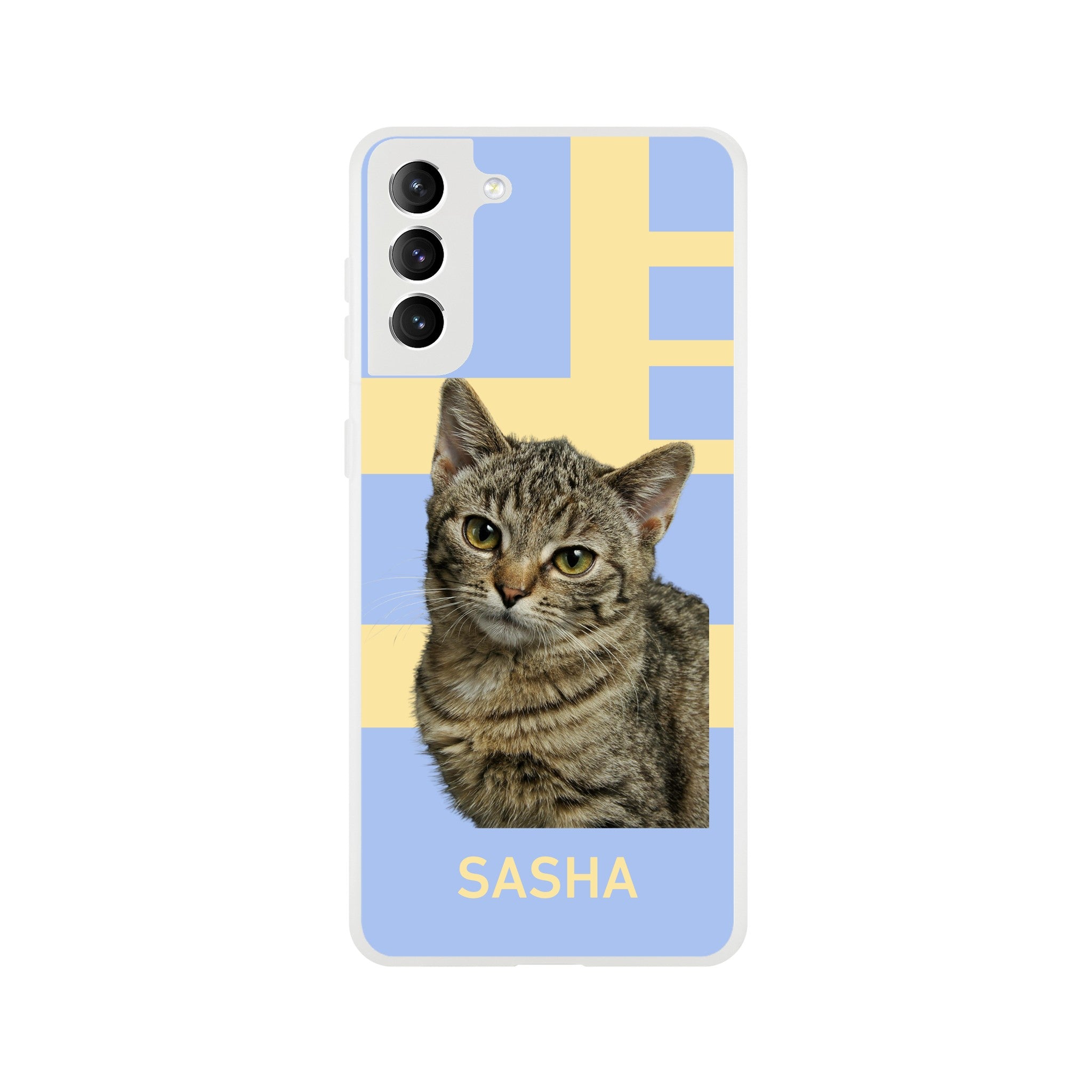 5c0181aa-69c2-4188-afb7-e9e47c531bed