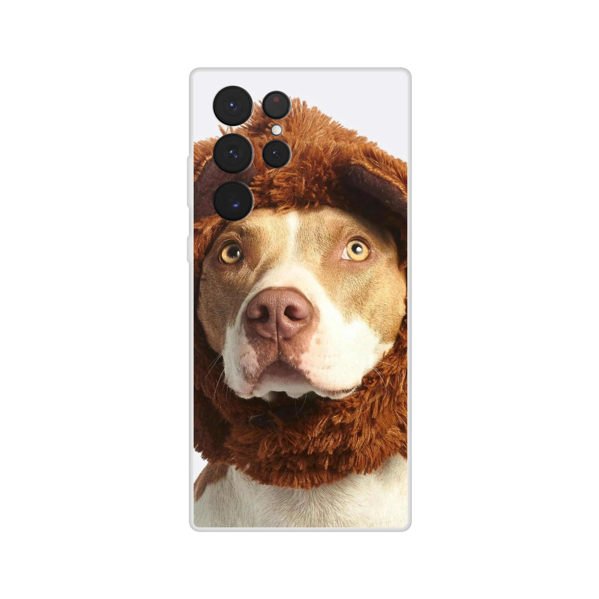 5c14f2f7-8e00-4b49-885d-dc2e650777a9