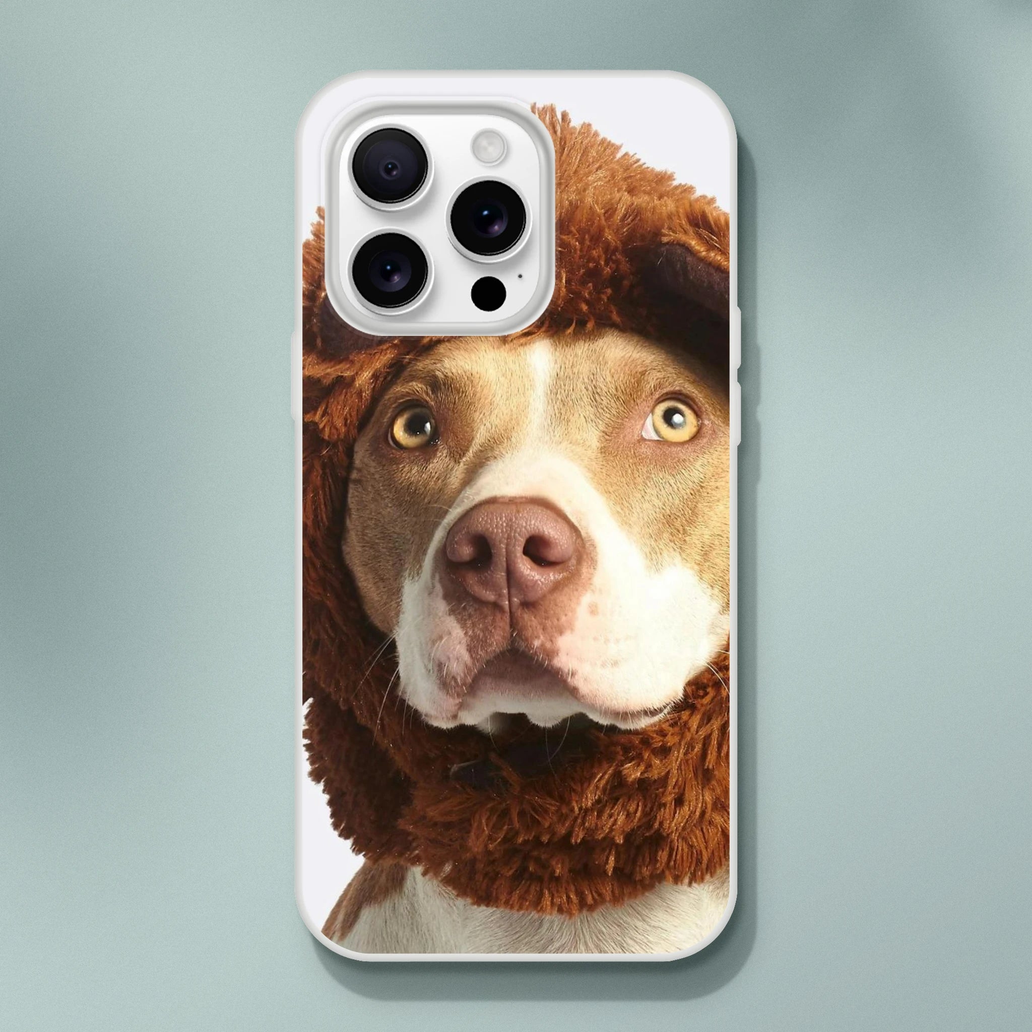 7462cadc-4c11-428d-9b8a-8d7a7bcf7ee9