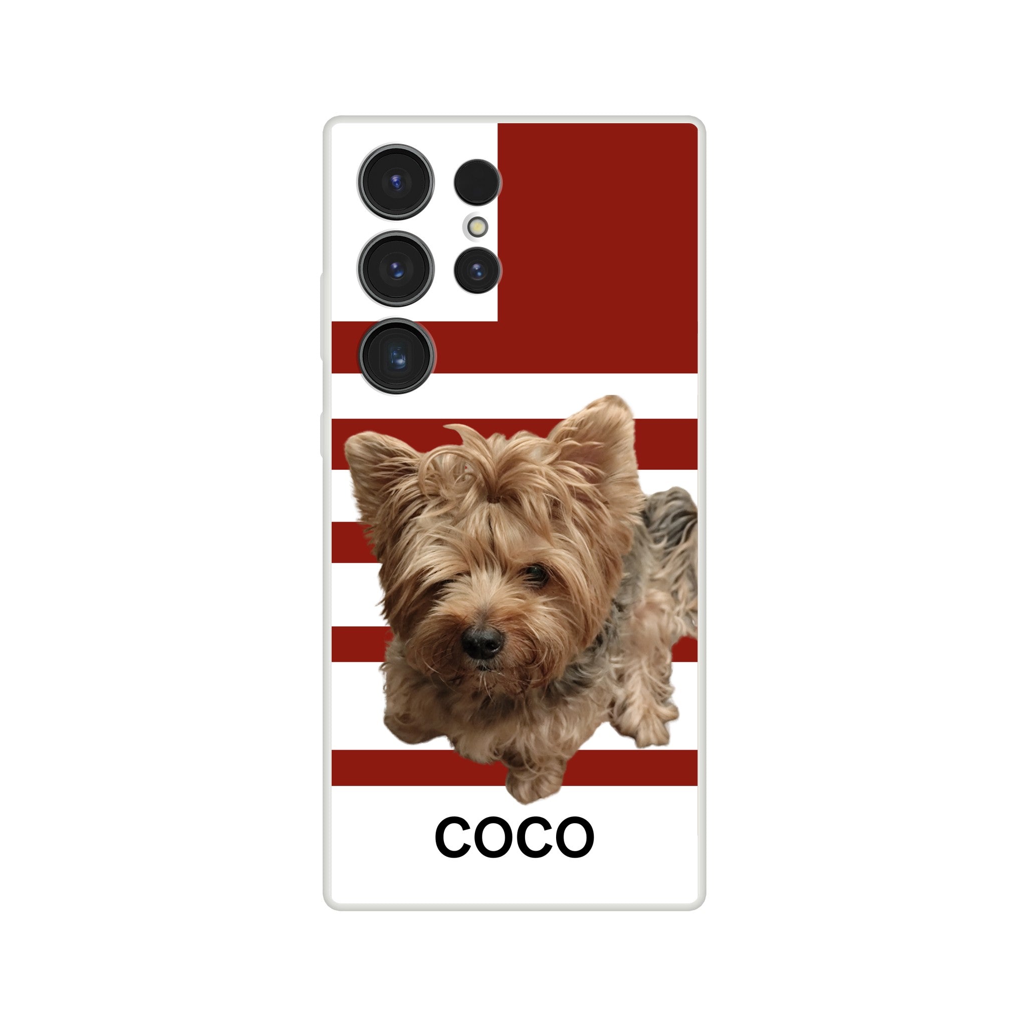 74d8b2ed-fdce-4942-9d95-d1438ae7c5fd