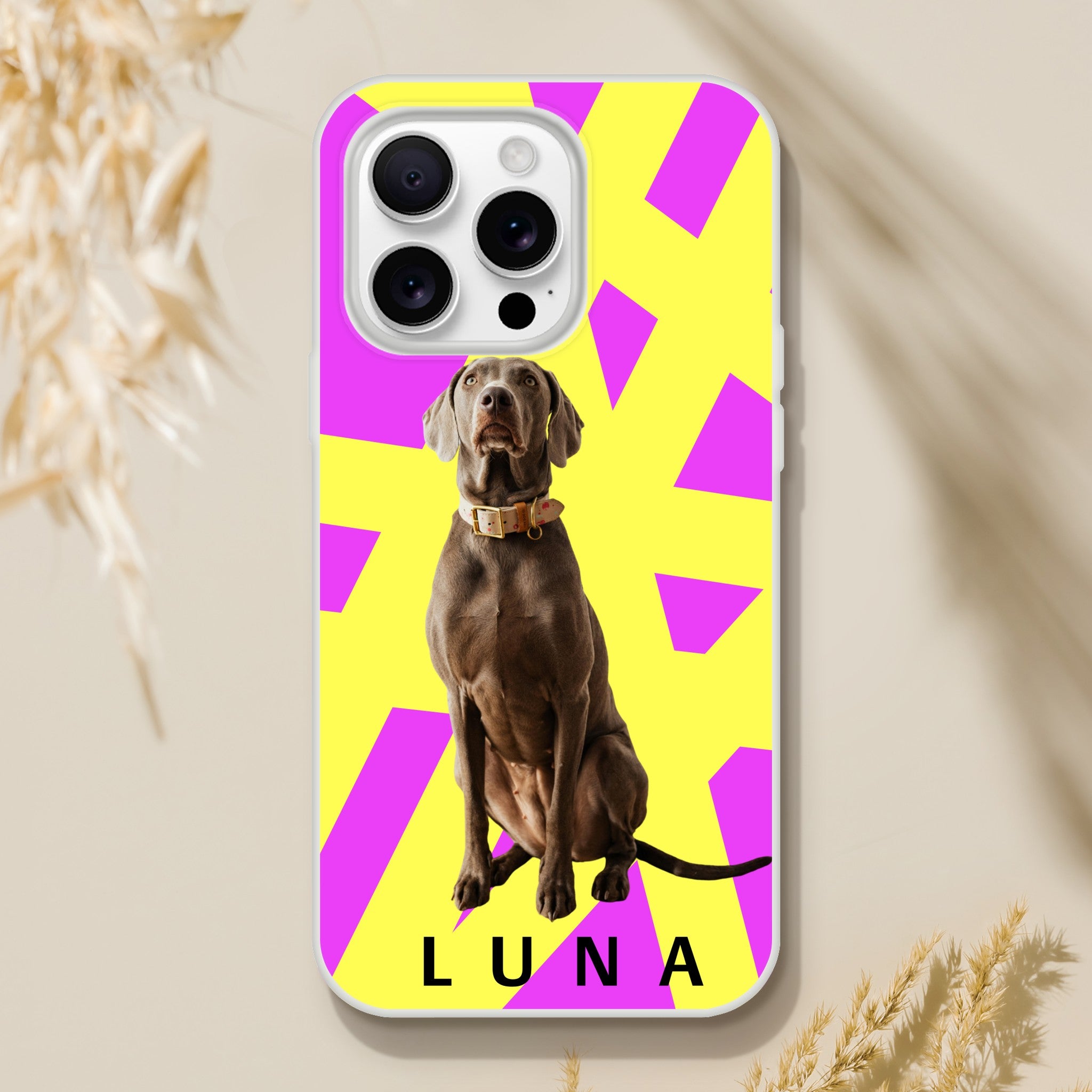 7e0f1019-f231-4ad5-9dfc-7e928ef55a93