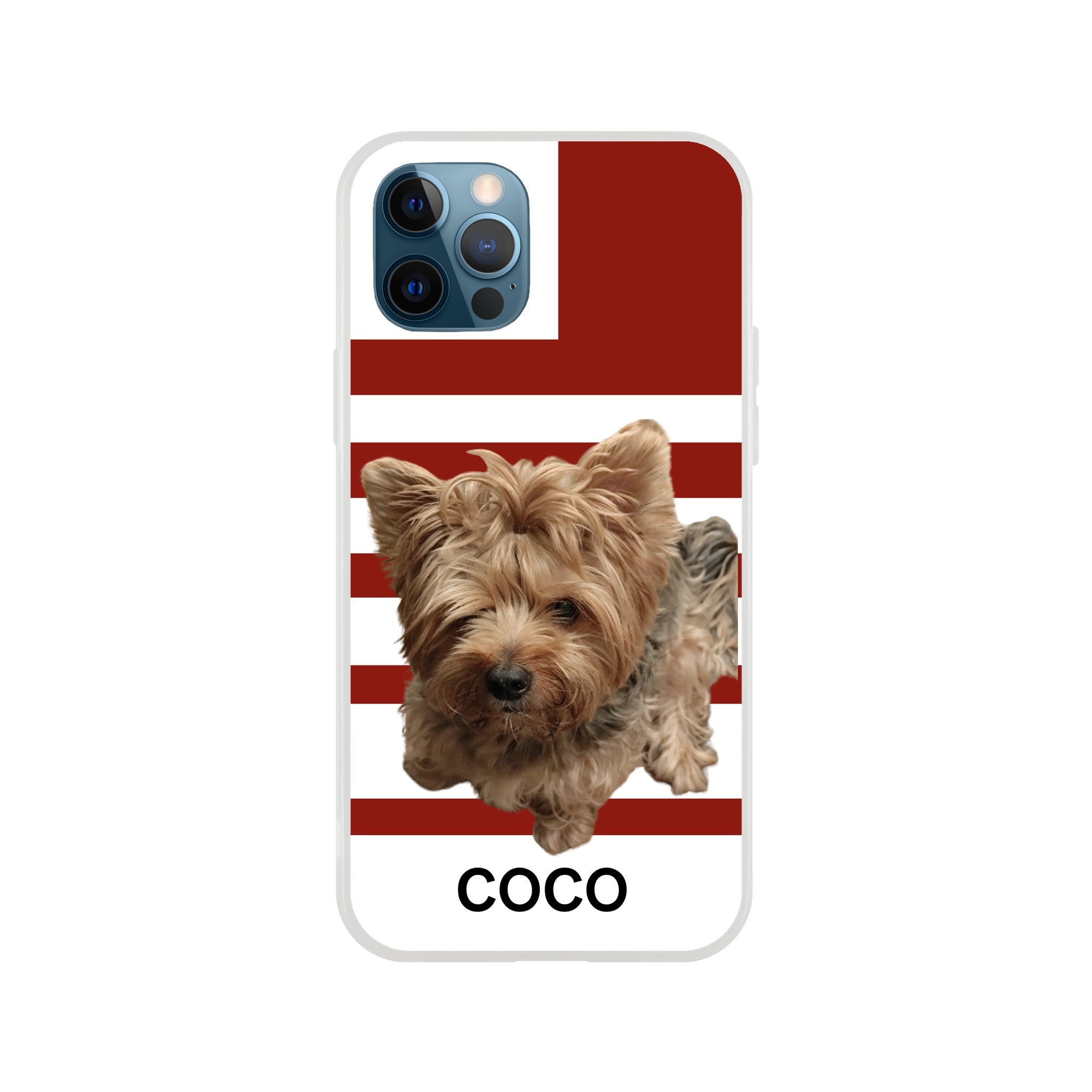 83d0e626-d21e-4c55-8705-de059c75e76f