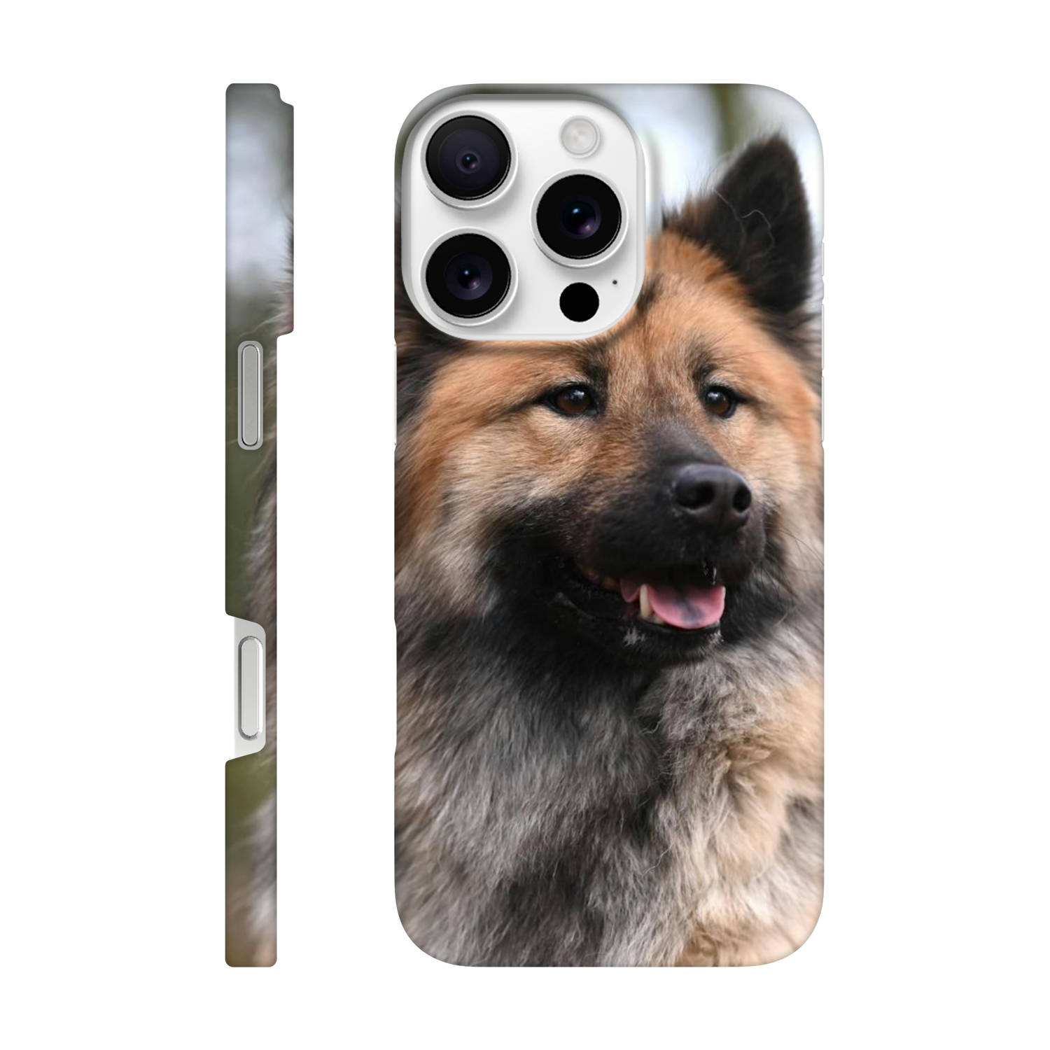 915f7e12-5379-423c-88f6-8c4027ede01d