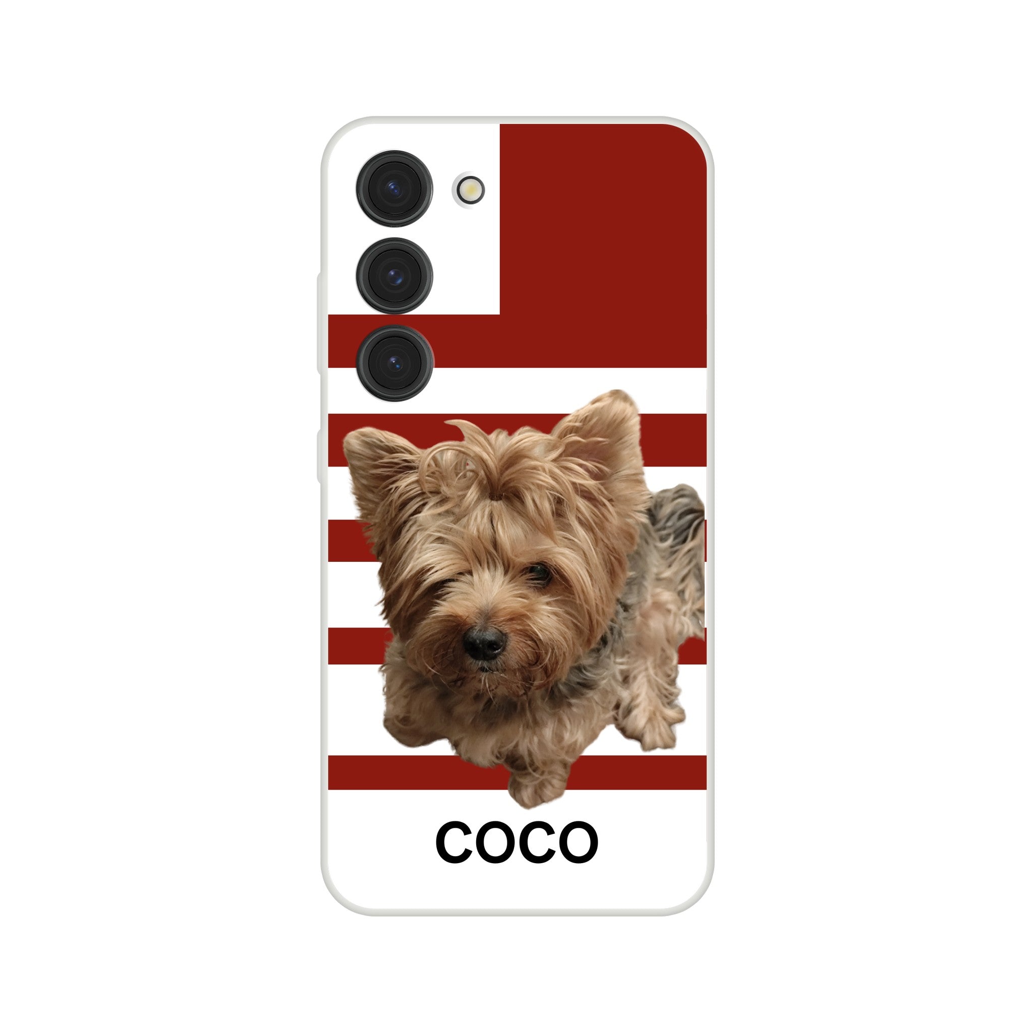 9293f7ba-043f-4d88-b282-b56a9254b0f6