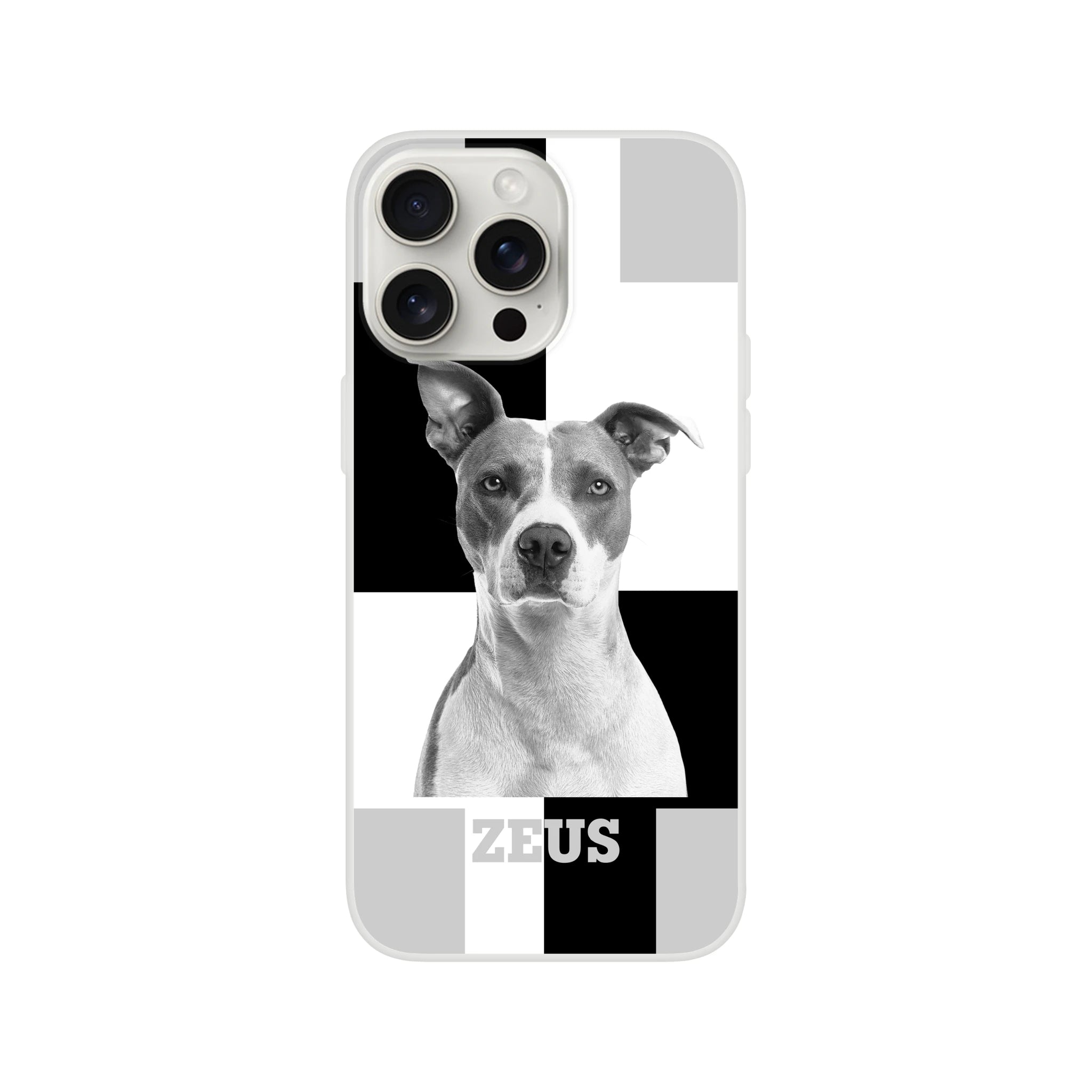 92bba613-1d69-4ce1-97e9-344f7fa54460