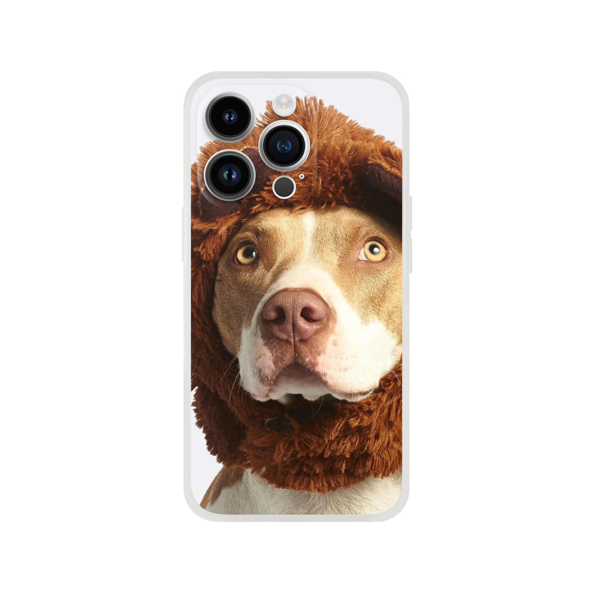 9ff5e4b3-38ac-4ed9-9581-edf16817a79a