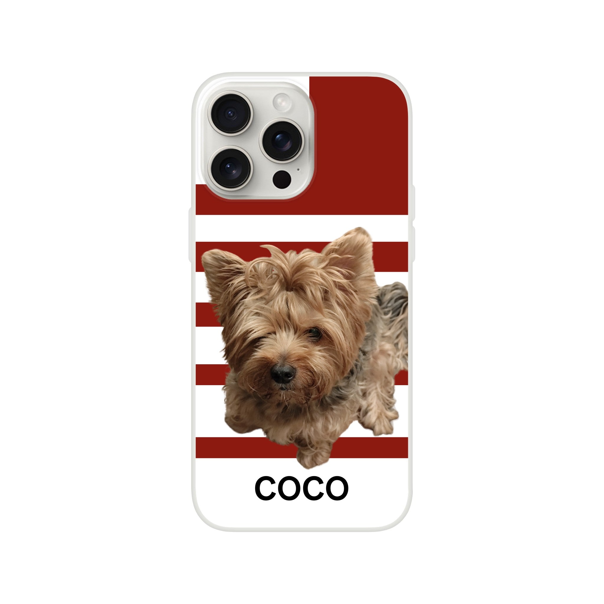 a3e4bca8-736f-4d01-b6e4-51a9b2932ce7