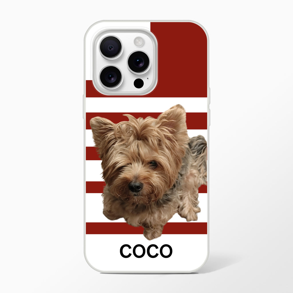 a746eedf-f498-412c-98c7-3f471c0e767e