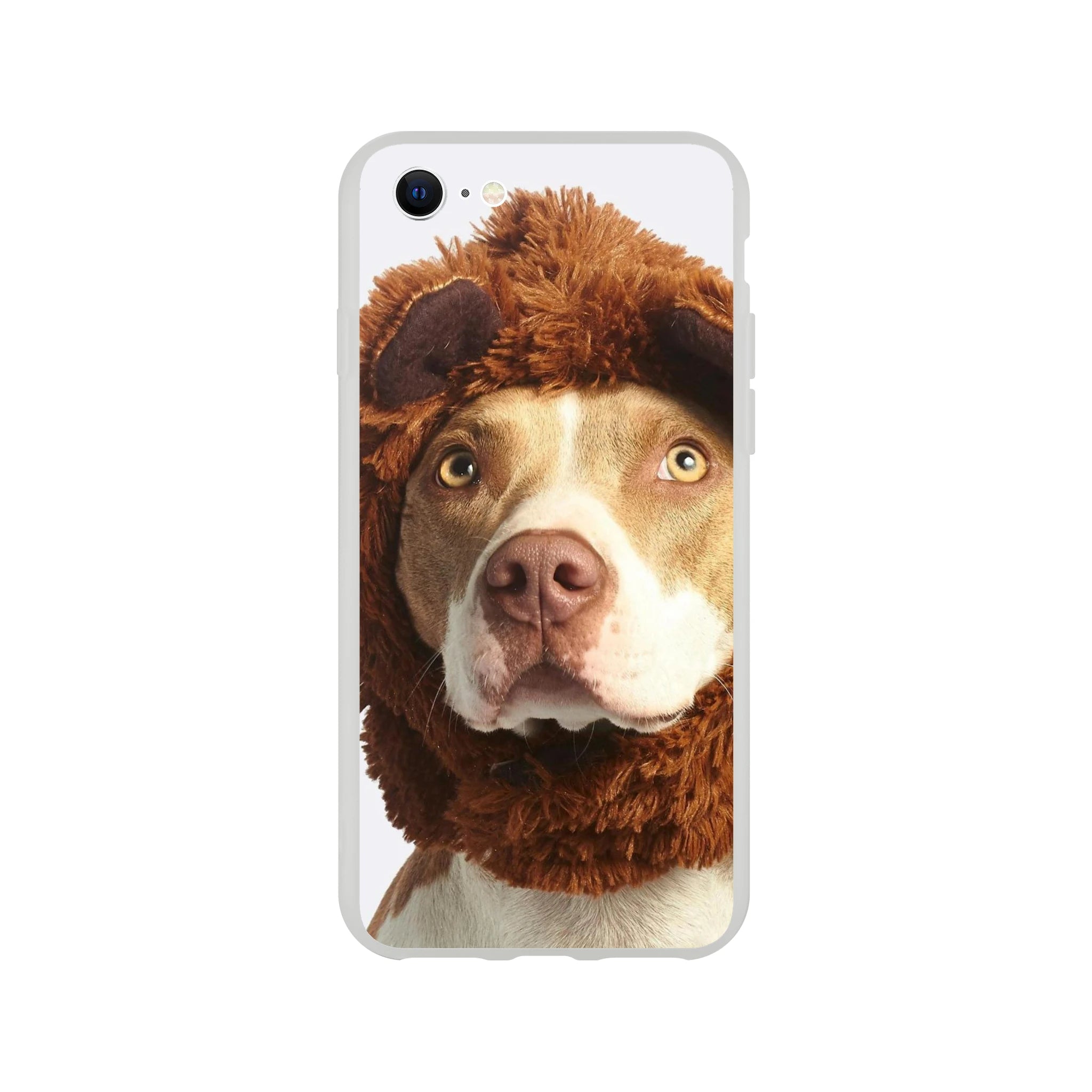 b21cb2ff-65d6-4983-9621-bfd69b0d2c45