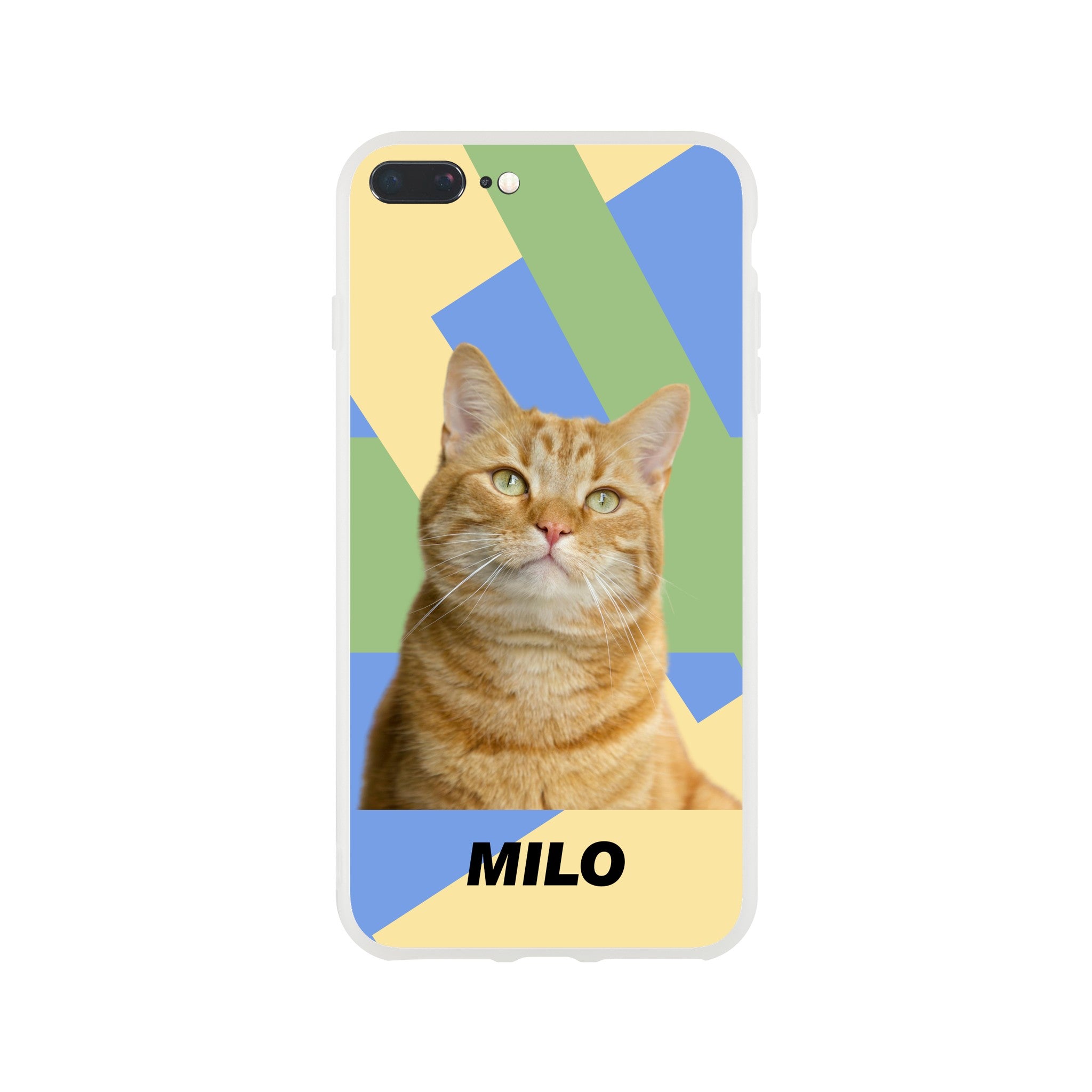 c0e7bd2b-709e-4c2b-962a-c21c325f8547