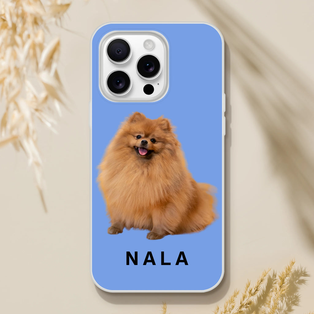 cda8eb36-0c00-4563-b34e-5ccb2985efc8