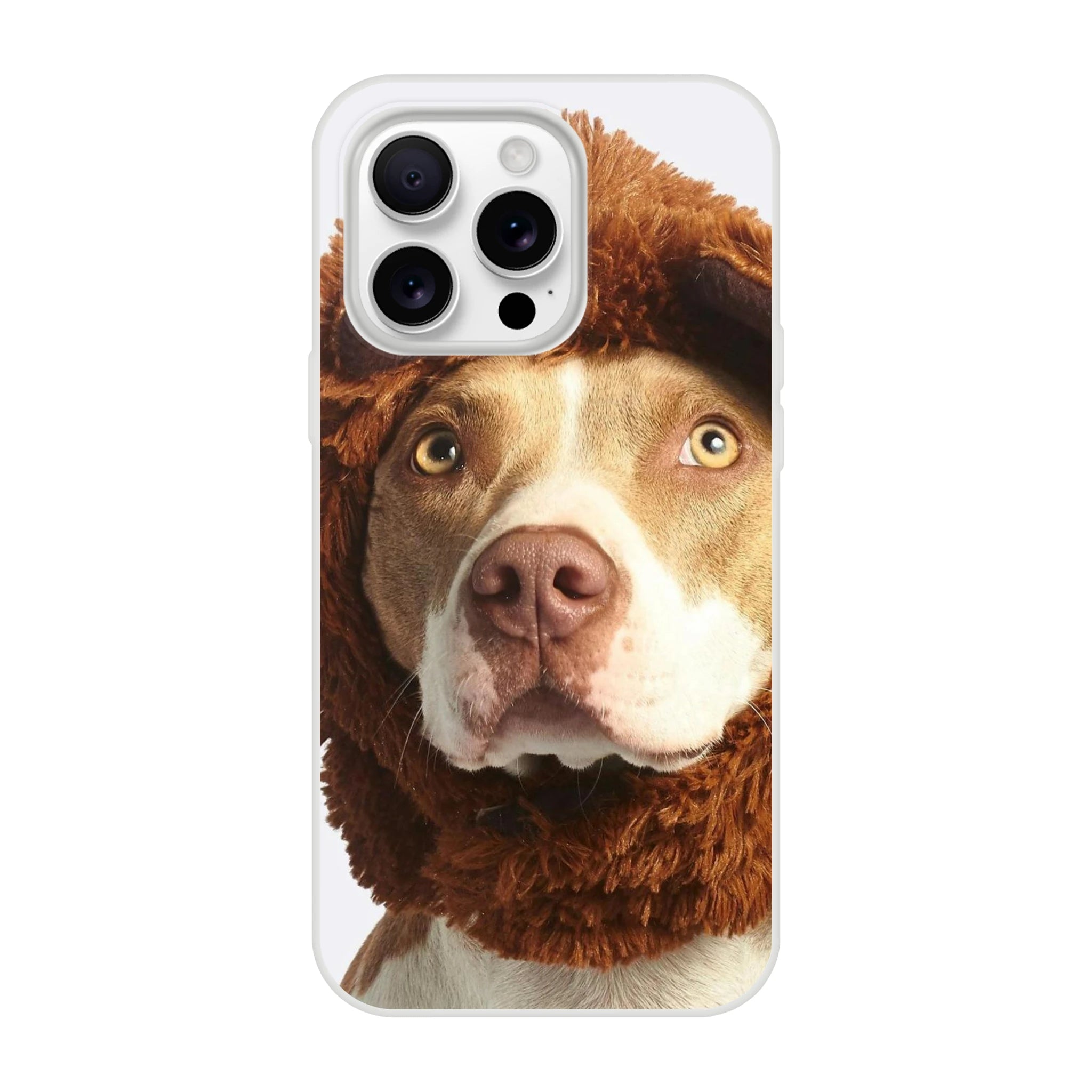 cf014551-c60c-4561-b57c-612770dea462