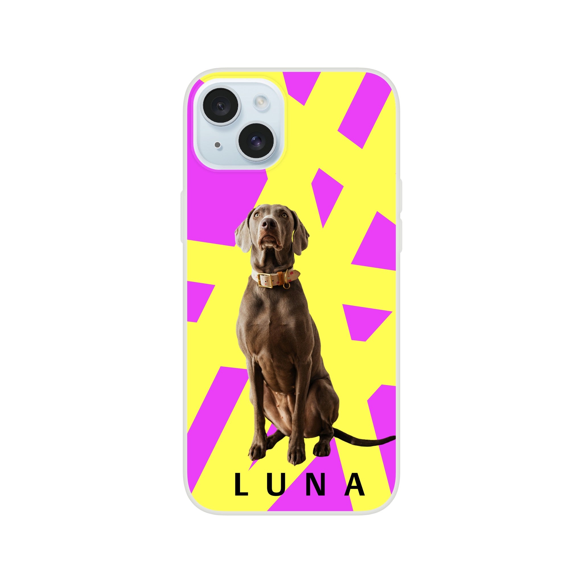 e20d655c-01a5-4fa5-88ce-800e257b53f5