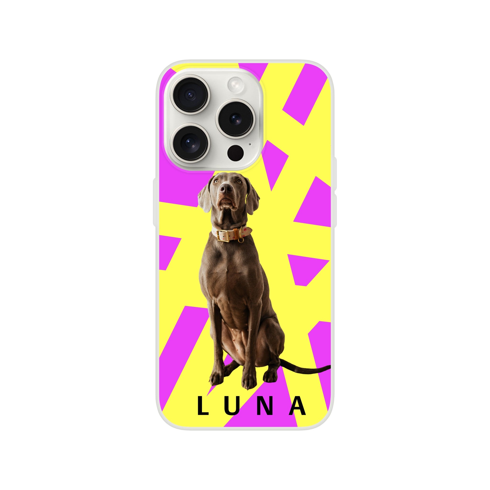 e43478e9-bbe6-444d-9c9b-1ef1a970de7b