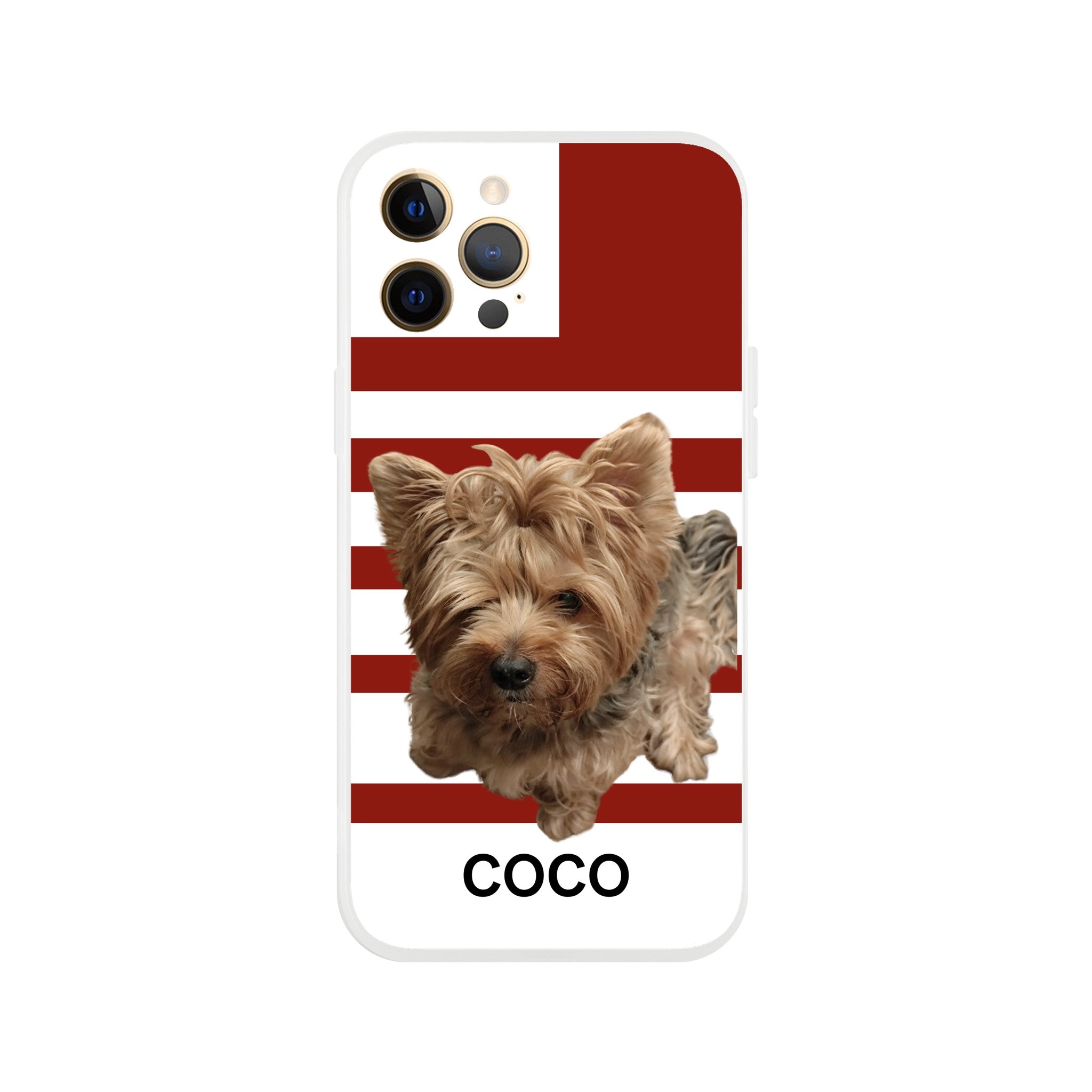 f5fb24c5-936a-459a-a262-b1af0bd15403