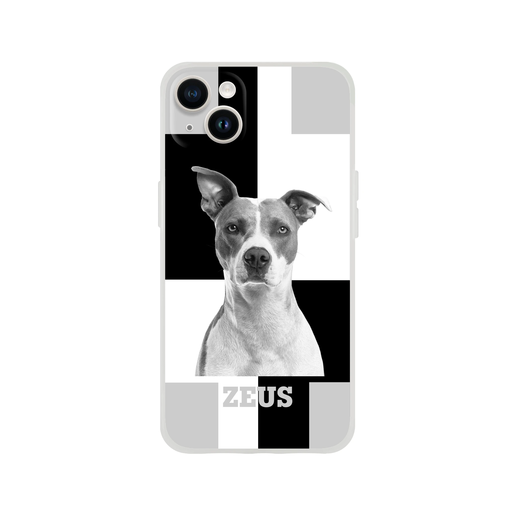 f8860f77-2913-44fc-a796-08edaae06f4c